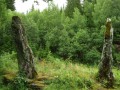 6039