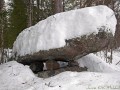 6653