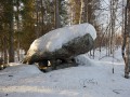 6655