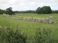 7229