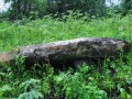 7441