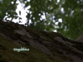 д1_12.PG