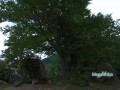 д1_16.PG