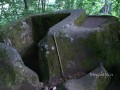 230