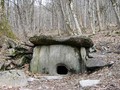 р бешенка сочи