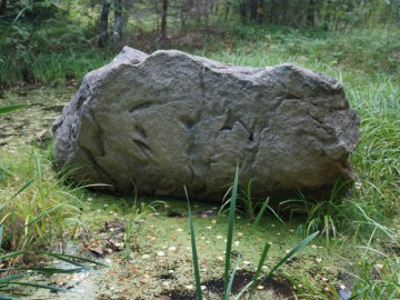 Камень Вергар — Сатинский валун