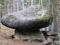8007