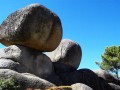 8118