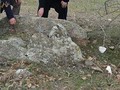65764558