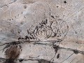 10041