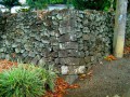 10354