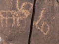 10556
