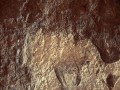 10960