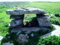 11625