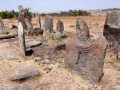 11894