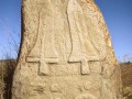 11914