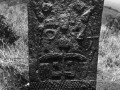 11921