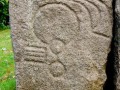 11923