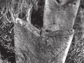 11960