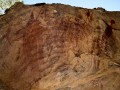 12755