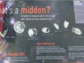 14032
