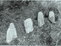 14063