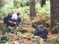 14227