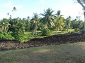 Talietumu-07