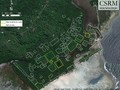 8780549504