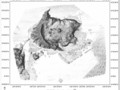 502058349