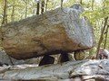 Tripod