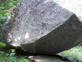 Savoy Mountain State Forest