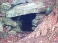 Chamber-Upton-5
