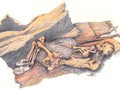 CanhgxHp6a4