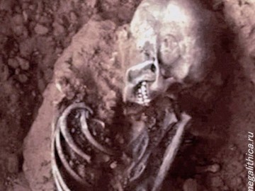 Скелеты гигантов — Homo draconis