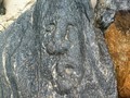 tbionkchnEA