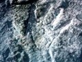 carved hand on 'Indian Rock' Middleborough, MA