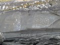 2008-09-23 Wrangell 148