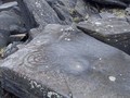 rock