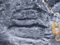 St. Victor Petroglyph Provincial Park -2