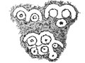 figure024