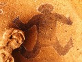 chumash cave bear-L