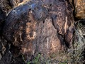 Petroglyphs in Burro Canyon. This panel is by far my favorite panel in Burro Canyon