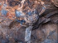 Hueco-Tanks-1