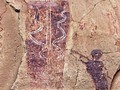 horseshoe-canyon-pictographs
