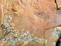 CC_DSC3535