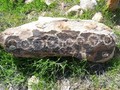 sanrafaelswellrockart11