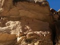 sanrafaelswellrockart16