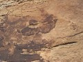 sanrafaelswellrockart19