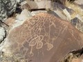 sanrafaelswellrockart21